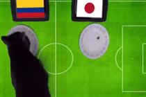 Mèo Cass tiên tri Colombia giành trọn 3 điểm trước NB