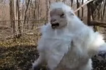 Quái vật nửa người nửa dê gây rúng động dư luận