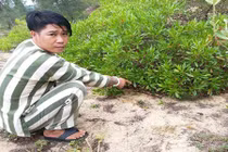 Nổ súng bắn chết bạn nhậu vì bị... “dạy đời”