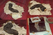 Ba bức ảnh cực bí ẩn khiến thiên tài cũng "nhũn não" 