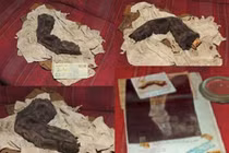 Ba bức ảnh cực bí ẩn khiến thiên tài cũng "nhũn não" 