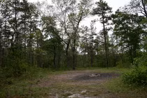 Vì sao bí ẩn “vòng tròn của quỷ” muôn đời không lời giải? 