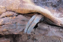 Đột nhập nghĩa địa cổ xưa chứa hơn 1 triệu xác ướp