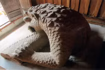 Đau xót kết cục bi thương của thái sư Lê Văn Thịnh