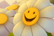 Đoán vận mệnh theo ngày sinh (2/6)