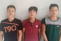 Bắt nhóm đối tượng chuyên thuê taxi đi cắt trộm dây điện