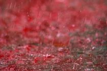 Sự thật gây sốc về những "cơn mưa máu" kỳ bí nhất lịch sử 