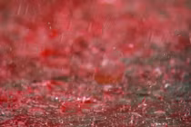 Sự thật gây sốc về những "cơn mưa máu" kỳ bí nhất lịch sử 