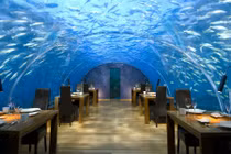 Thử trải nghiệm 10 nhà hàng kỳ lạ nhất hành tinh