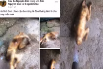 Truy tìm nam thanh niên đăng ảnh giết khỉ lên Facebook