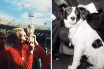 Sự thật thú vị con vật trở thành “cứu tinh” của nước Anh 