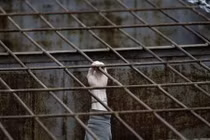 Những nhà tù đáng sợ nhất hành tinh