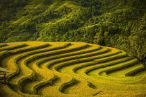 Ảnh đẹp VN lọt chung kết giải ảnh Smithsonian 2014