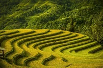 Ảnh đẹp VN lọt chung kết giải ảnh Smithsonian 2014