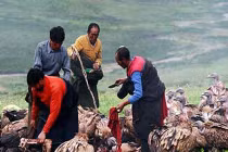 Muôn kiểu thiên táng rùng rợn trên thế giới