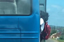 Video: Nữ sinh bám cửa xe khách đang lên dốc ở Lâm Đồng