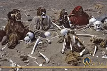 Rợn người những bộ hài cốt trắng xóa ngoác miệng cười giữa sa mạc 