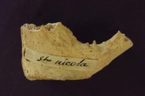 Tìm thấy mảnh xương nghi của "ông già Noel"