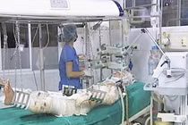 Vụ trực thăng Mi-171 rơi: Thêm 1 chiến sĩ hy sinh