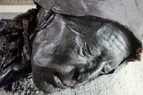 Bí mật xuyên thế kỷ về các xác ướp đầm lầy