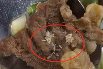 Phát hiện giòi trong khẩu phần ăn trưa của công nhân