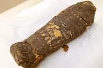 Kinh ngạc xác ướp bào thai trong quan tài tí hon