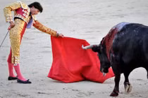 Top hiểu lầm khó tin nhiều người cứ ngỡ là thật