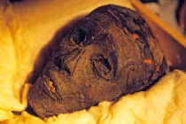 Lời nguyền “chết chóc” của xác ướp 