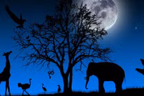 Giải mã 7 lời đồn "dựng tóc gáy" quanh ngày trăng tròn 