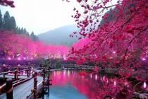 Bói vận mệnh theo ngày sinh (21/4)