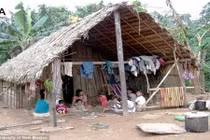 Bộ lạc Amazon có động mạch khỏe nhất thế giới