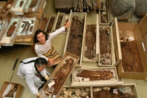 Rụng rời xác ướp 7.000 tuổi có trước xác ướp Ai Cập 