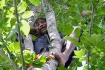 Cuộc sống của người rừng Quảng Ngãi giờ thế nào?