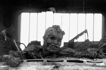 Loạt ảnh lịch sử khiến người xem giật mình ám ảnh 