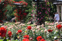 10 khu vườn đẹp mê hồn trên thế giới