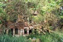 Vẻ đẹp rùng mình của “biệt thự ma nhà họ Lưu”