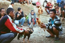 Tò mò cuộc sống ở ngôi làng "kín như bưng" của Indonesia