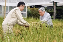 Nhật hoàng Akihito: “Gần gũi với dân trong từng nếp nghĩ”