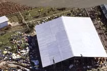 Hãi hùng giáo phái tàn độc khiến gần 1.000 người tự sát