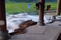 Video: Kinh hoàng khoảnh khắc ngôi nhà đổ sụp xuống sông ở Điện Biên