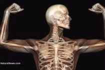 Khám phá những điều khó tin về con người