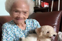 Chú chó rơi nước mắt ngày ngoại ốm, "túc trực" đến khi ngoại qua đời 