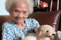 Chú chó rơi nước mắt ngày ngoại ốm, "túc trực" đến khi ngoại qua đời 