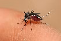 Sốt xuất huyết mấy ngày thì khỏi?