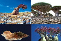 Giải mã hòn đảo “ngoài hành tinh” 