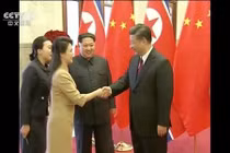 Cận cảnh vẻ đẹp dịu dàng, sang trọng của đệ nhất phu nhân Triều Tiên