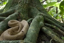 Khám phá 10 nơi nguy hiểm nhất thế giới