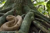 Khám phá 10 nơi nguy hiểm nhất thế giới