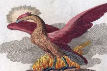 Những sinh vật huyền bí nổi tiếng thế giới (1)