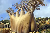 Kỳ lạ hòn đảo "ngoài hành tinh" có thật trên trái đất 